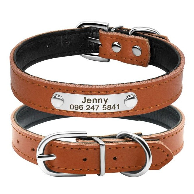 Custom Pet Collars