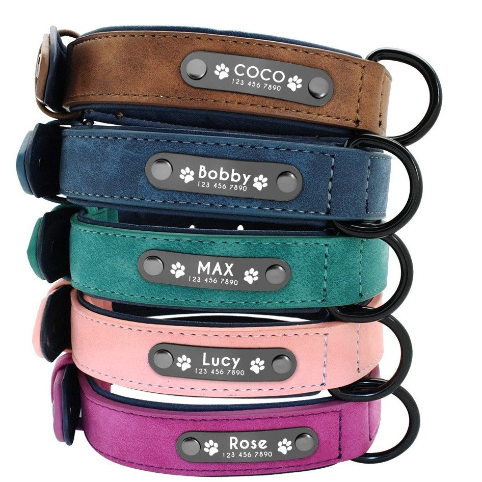 Pet Collars Template